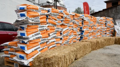 Bilecik’te çiftçiler, “Birlikte Üretim Modeli Projesi” ile arazilerini birleştirerek dane