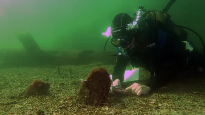 Müsilajla mücadeleye yeni bir boyut kazandıran projelerle, Marmara Denizi'nde ekolojik