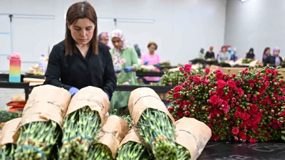 Kesme çiçek ihracatında 150 milyon dolar hedefleyen sektör, alternatif pazarlara