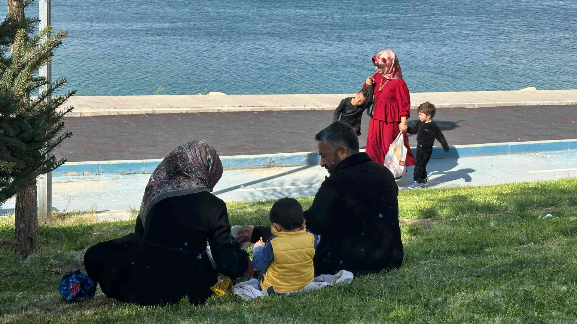 Van’da mayıs ve haziran aylarında artan polenler, alerjik bireylerde öksürük,