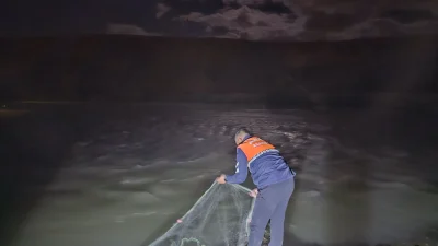 İnci kefalinin üreme döneminde Van Gölü'nde yapılan denetimlerde 1 ton