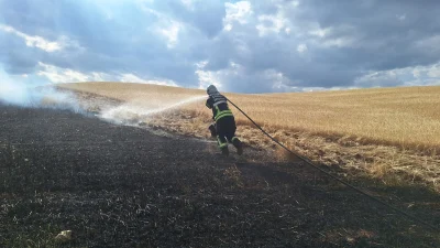  Çorum’da buğday tarlasında çıkan yangında 120 dekar alan zarar