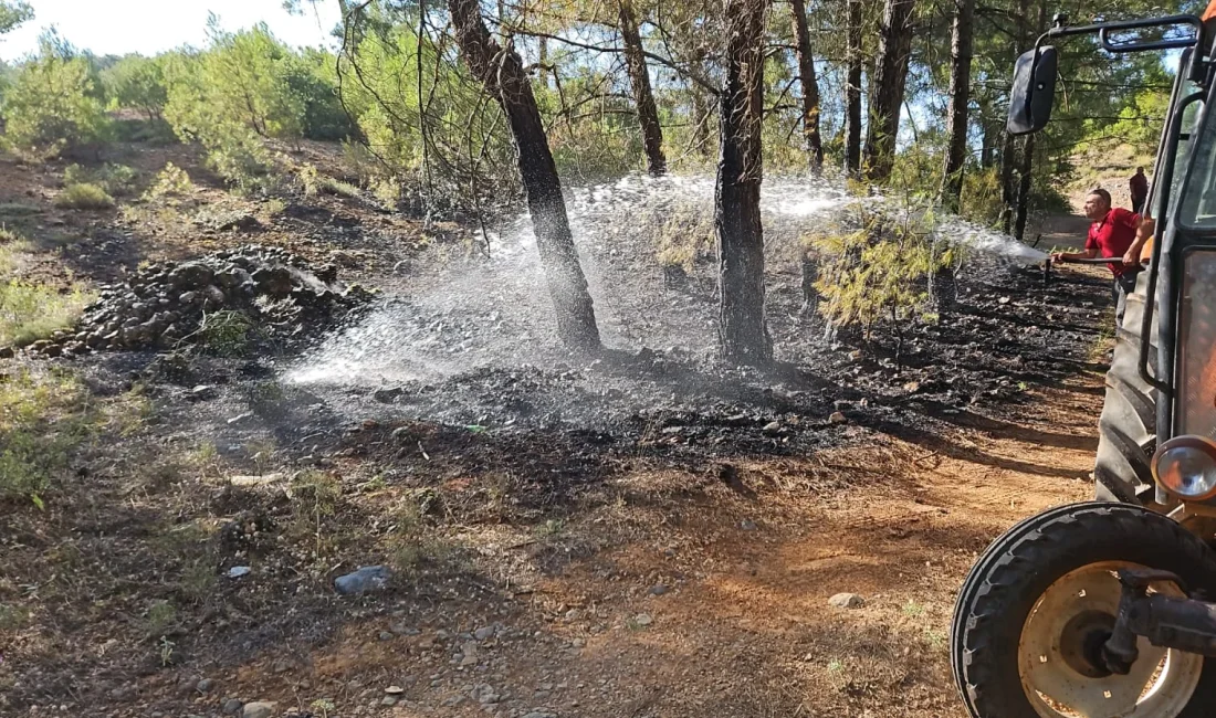  Muğla’nın Menteşe ilçesi Akçaova Mahallesi’nde çıkan orman yangını kısa