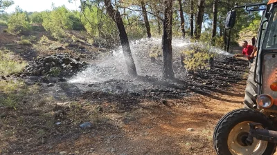  Muğla’nın Menteşe ilçesi Akçaova Mahallesi’nde çıkan orman yangını kısa