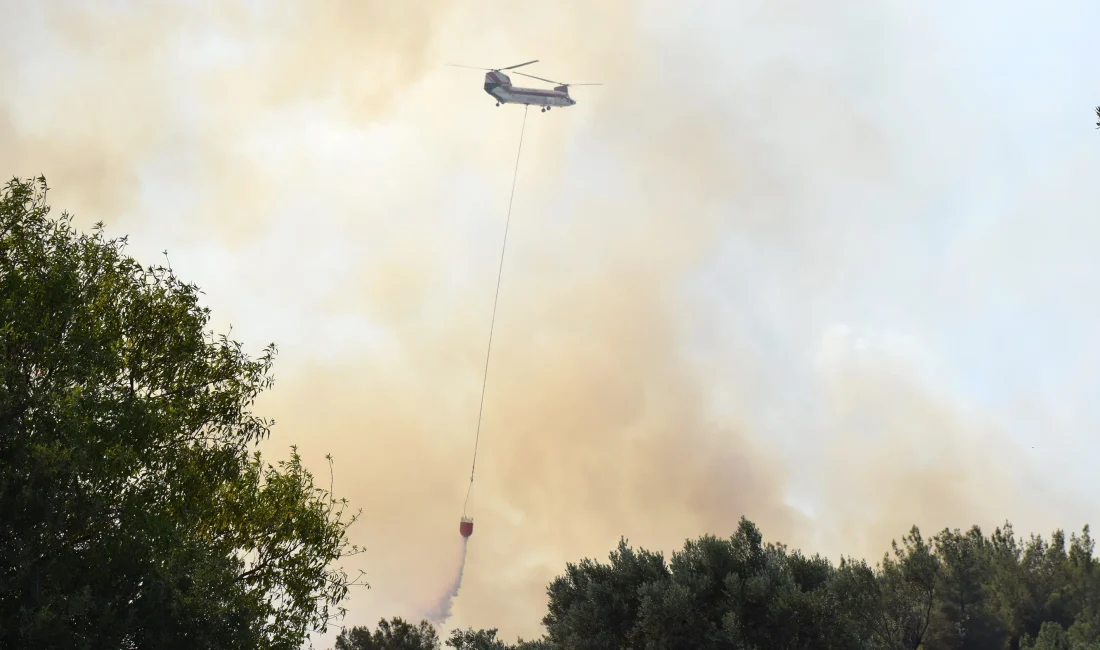 İzmir’in Bornova ilçesinde tarım arazisinde başlayan yangın ormanlık alana yayıldı;