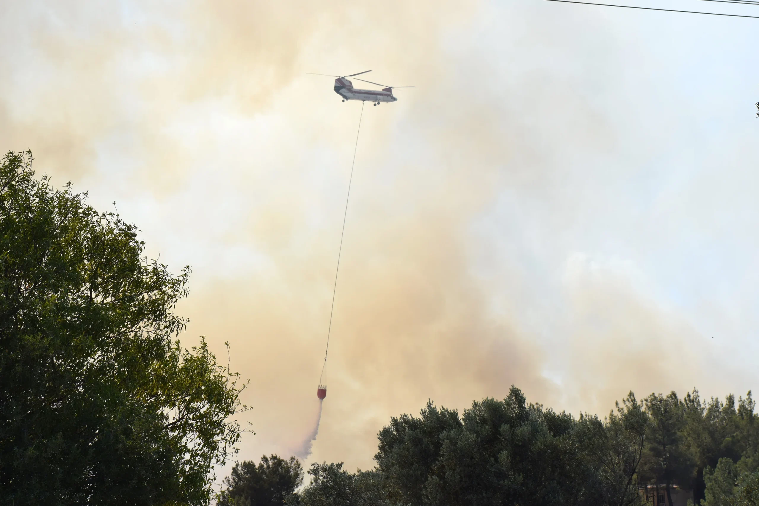 İzmir’in Bornova ilçesinde tarım arazisinde başlayan yangın ormanlık alana yayıldı;