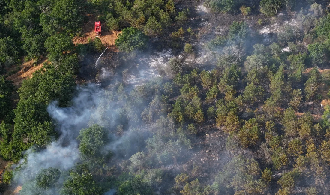 Edirne Lalapaşa’daki Orman Yangını Kontrol Altına Alındı Edirne Lalapaşa'da ormanlık alanda çıkan yangın, ekiplerin karadan ve