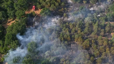  Edirne Lalapaşa'da ormanlık alanda çıkan yangın, ekiplerin karadan ve