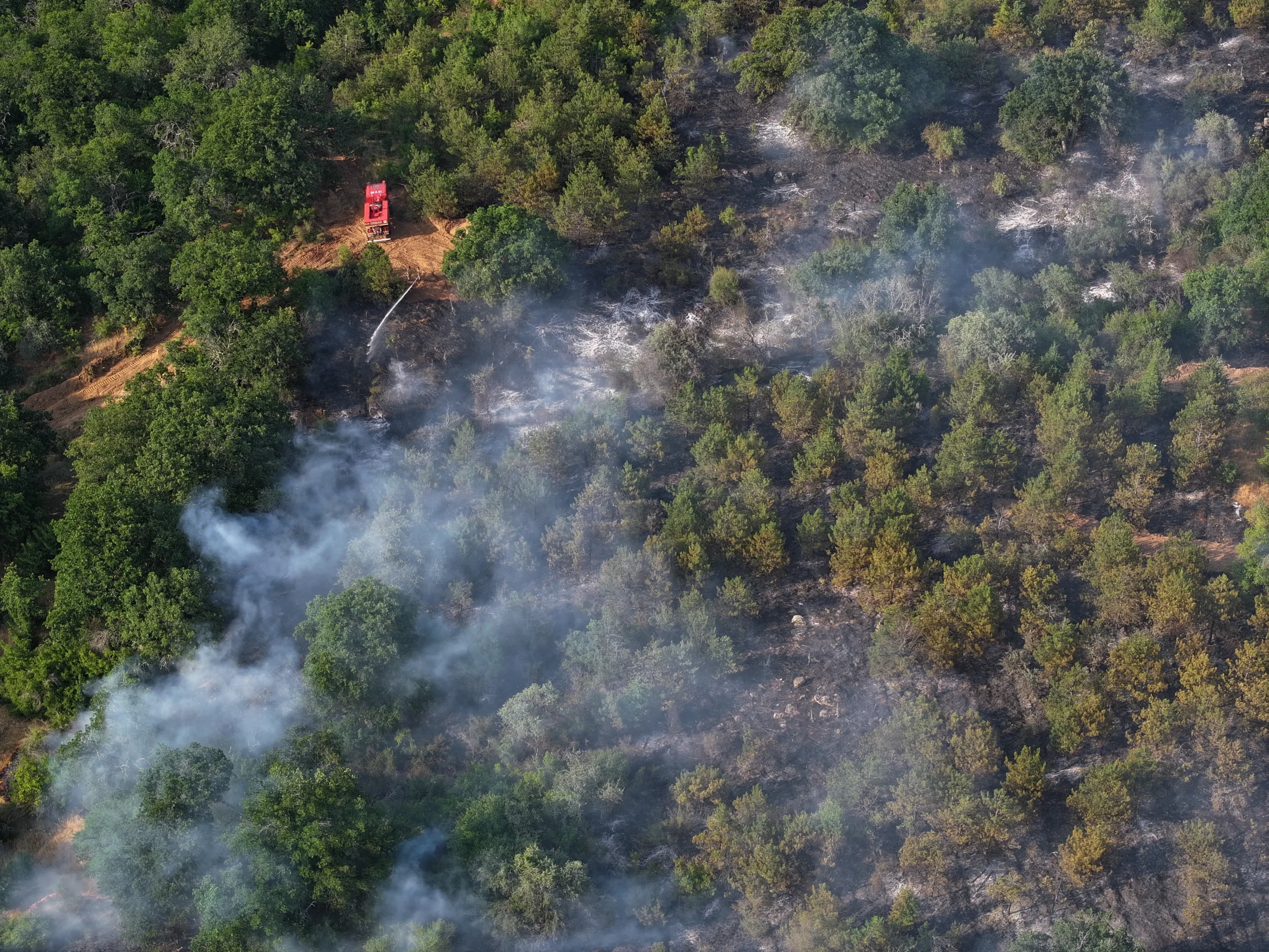  Edirne Lalapaşa'da ormanlık alanda çıkan yangın, ekiplerin karadan ve