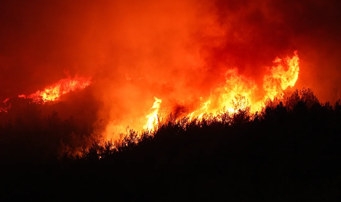 İzmir’deki Orman Yangınına Rüzgar Engeli: Beş Mahalle Tahliye Edildi İzmir'in Menderes ve Seferihisar ilçeleri arasındaki orman yangını kontrol altına