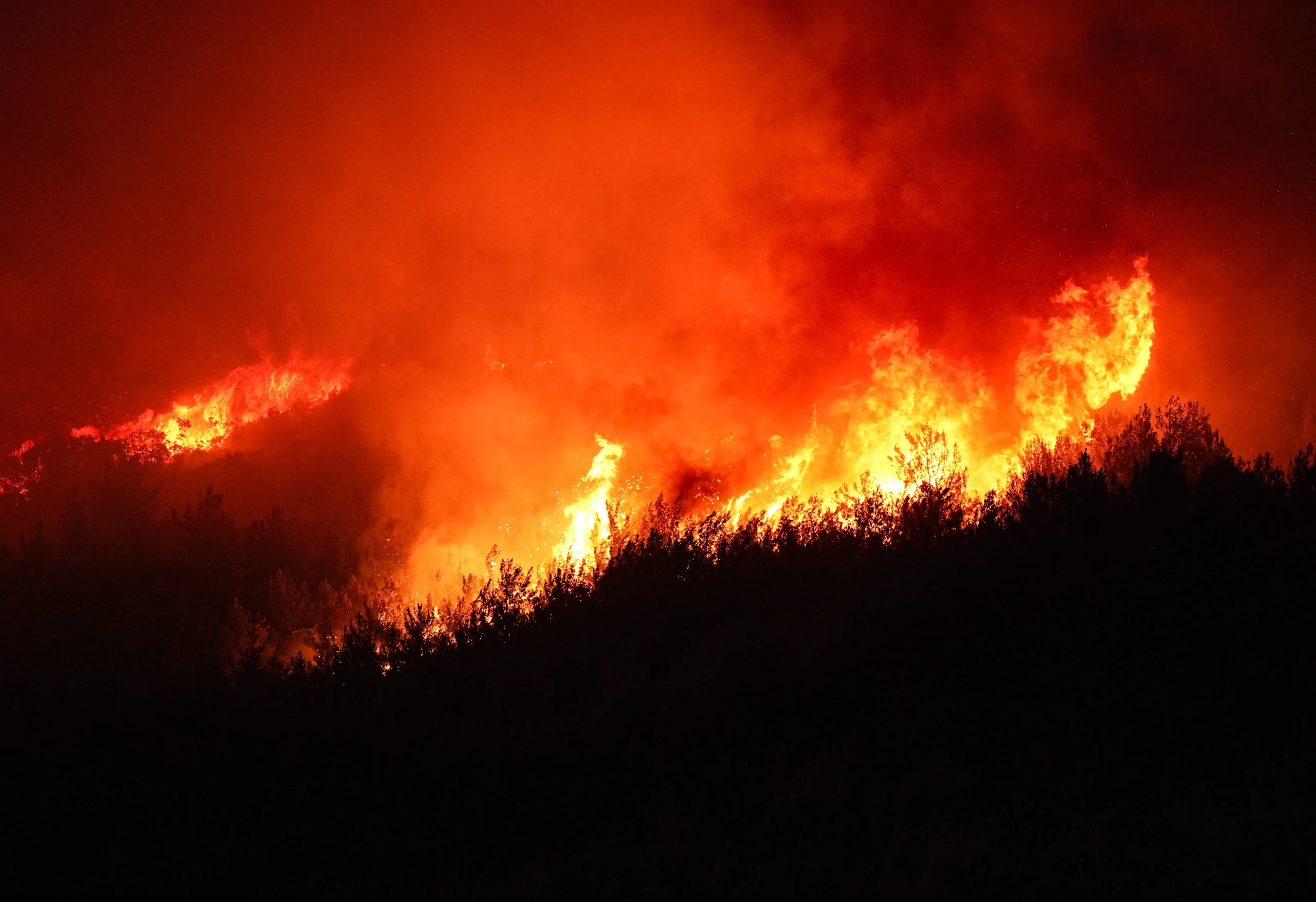 İzmir'in Menderes ve Seferihisar ilçeleri arasındaki orman yangını kontrol altına