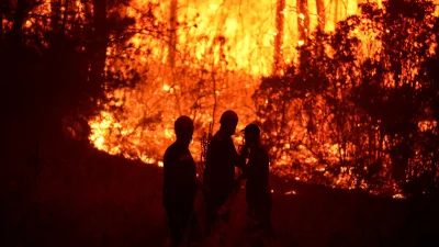  Tarım ve Orman Bakanı Yumaklı, Türkiye genelinde orman yangınlarıyla