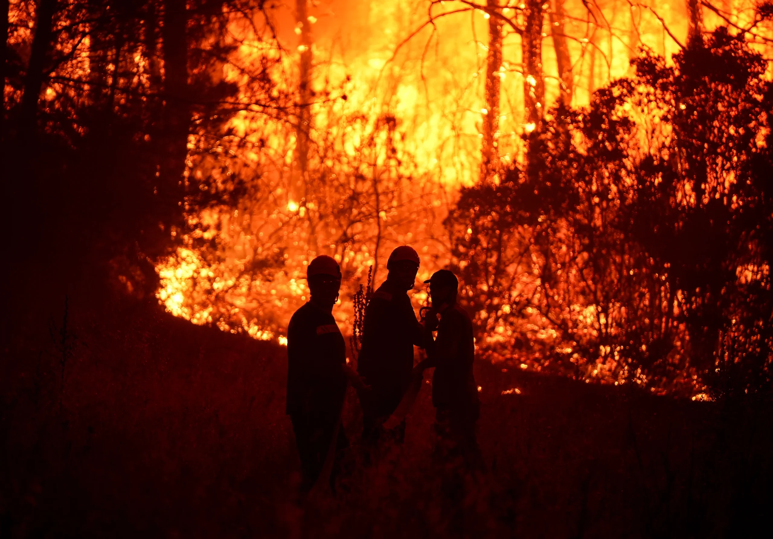  Tarım ve Orman Bakanı Yumaklı, Türkiye genelinde orman yangınlarıyla