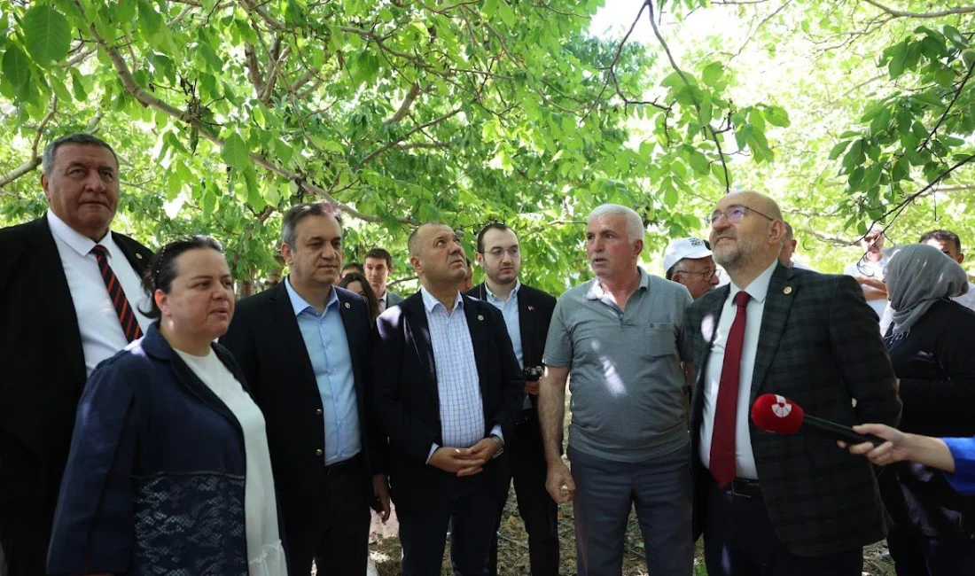 TBMM Komisyonu, Denizli’de Zirai Don Zararını Yerinde İnceledi TBMM Zirai Don Olayını Araştırma Komisyonu, Denizli'nin Çivril ilçesinde don