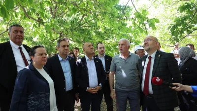 TBMM Zirai Don Olayını Araştırma Komisyonu, Denizli'nin Çivril ilçesinde don