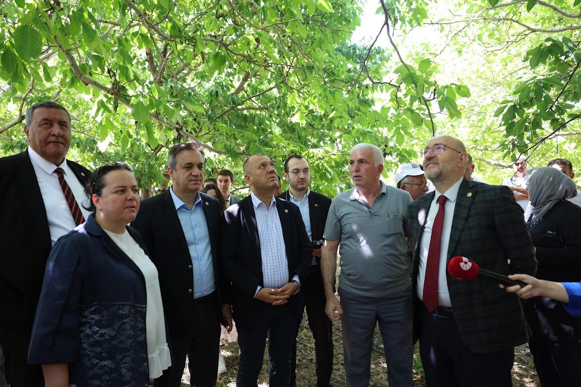 TBMM Zirai Don Olayını Araştırma Komisyonu, Denizli'nin Çivril ilçesinde don