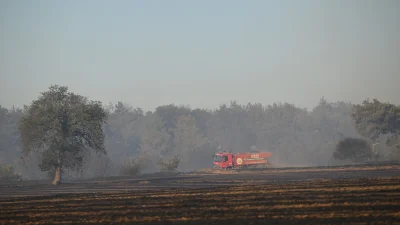 Edirne’nin Keşan ilçesinde yaklaşık 40 hektar alanı etkileyen orman yangını