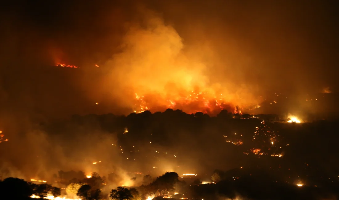 Çanakkale’nin Ayvacık ilçesinde çıkan orman yangını şiddetli rüzgarın etkisiyle yayılırken,