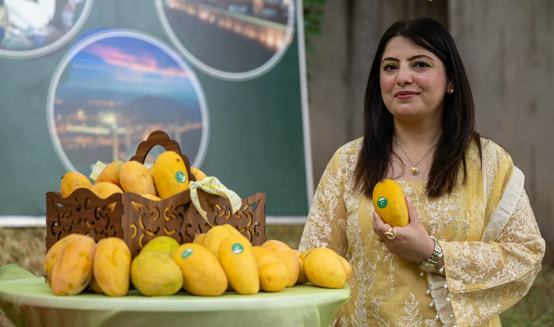 Ankara'da düzenlenen Mango Festivali'nde Pakistan kültürü ve mutfağı tanıtıldı, misafirlere