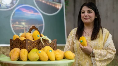 Ankara'da düzenlenen Mango Festivali'nde Pakistan kültürü ve mutfağı tanıtıldı, misafirlere