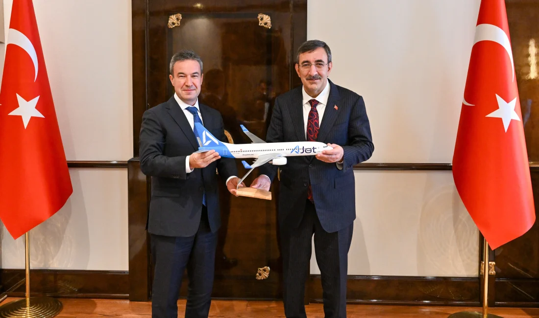 Cumhurbaşkanı Yardımcısı Cevdet Yılmaz, AJet’in üst düzey yöneticisi Kerem Sarp
