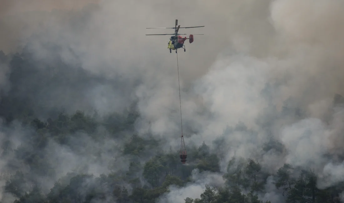 Sakarya’nın Geyve ilçesinde başlayan ve Bilecik’in Osmaneli ilçesine sıçrayan orman