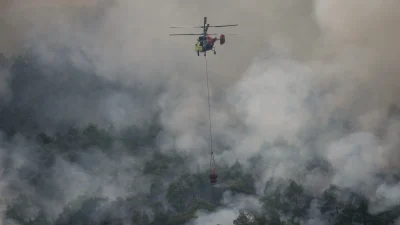Sakarya’nın Geyve ilçesinde başlayan ve Bilecik’in Osmaneli ilçesine sıçrayan orman