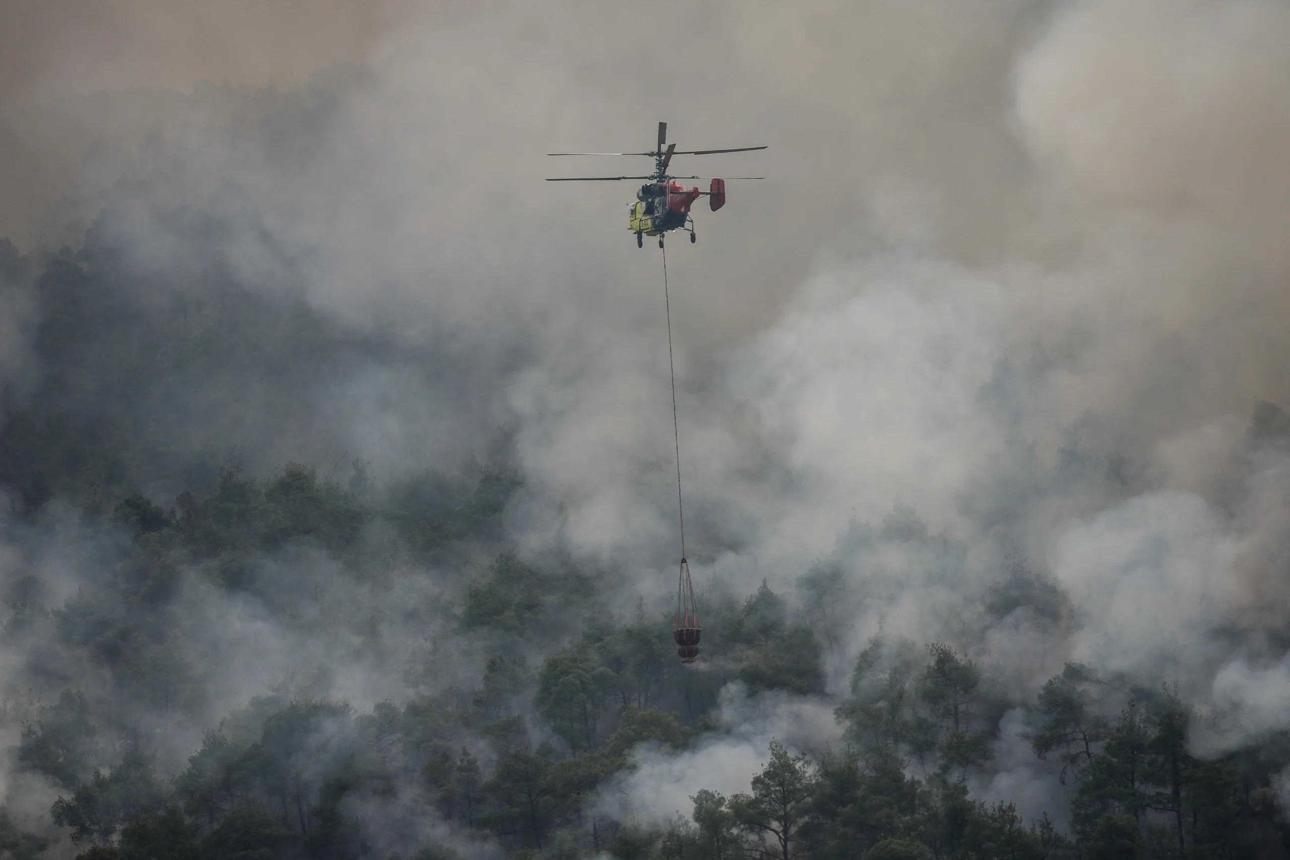Sakarya’nın Geyve ilçesinde başlayan ve Bilecik’in Osmaneli ilçesine sıçrayan orman