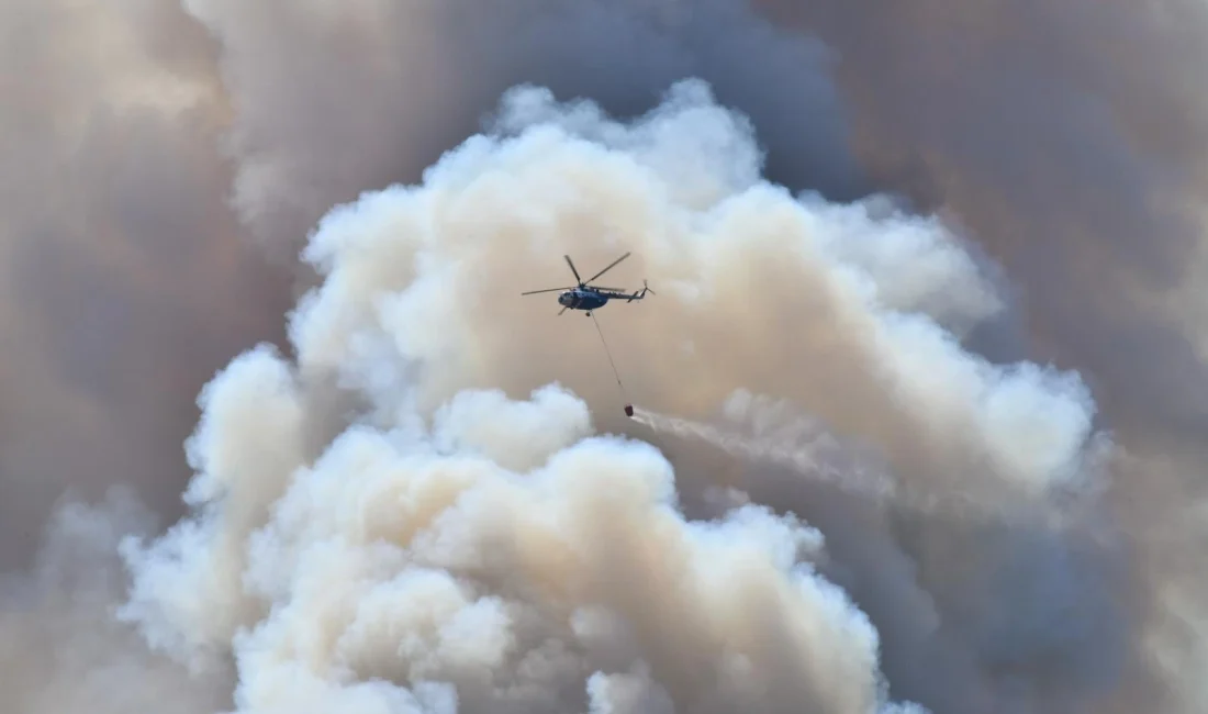İçişleri Bakanı Ali Yerlikaya, 4-22 Temmuz tarihlerinde meydana gelen 61