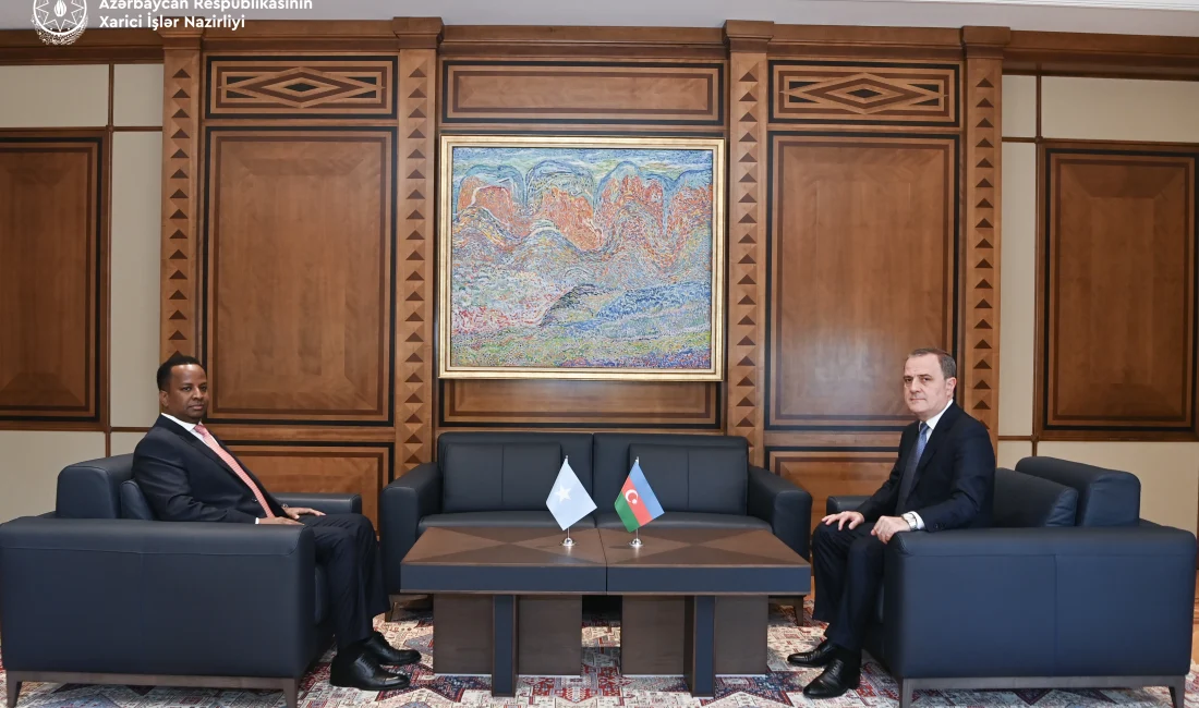 Azerbaycan Dışişleri Bakanı Bayramov ve Somali Dışişleri Bakanı Ali, Türkiye