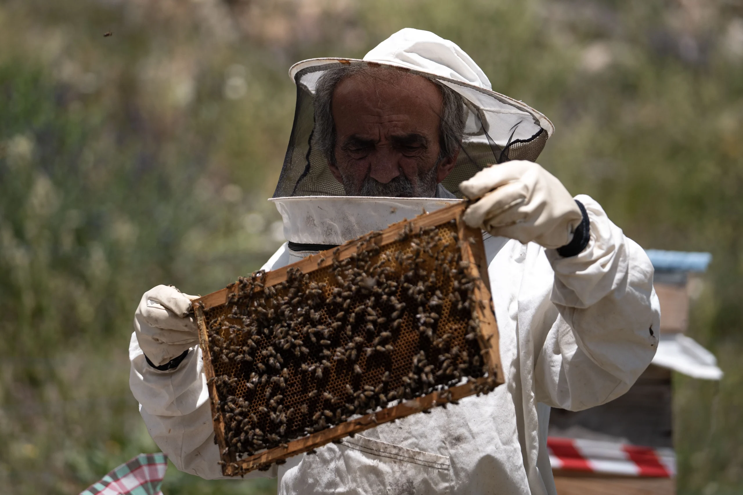 Rize-Erzurum hattında dolmuş şoförlüğü yaparken arıcılığa adım atan Bayram Ali