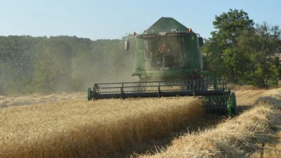Samsun’un Havza ilçesinde 190 bin dekar alanda yürütülen buğday hasadında