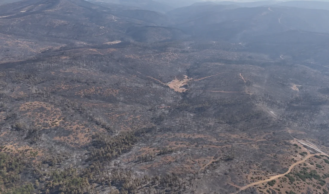 Bursa’nın Orhaneli ve Harmancık ilçeleri arasında çıkan orman yangını beşinci