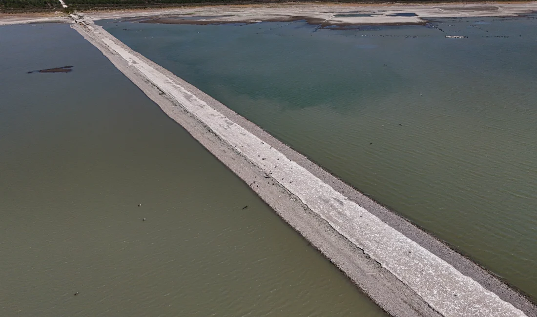 İzmir'in Çeşme ilçesindeki barajda kuraklık nedeniyle su seviyesi kritik seviyeye