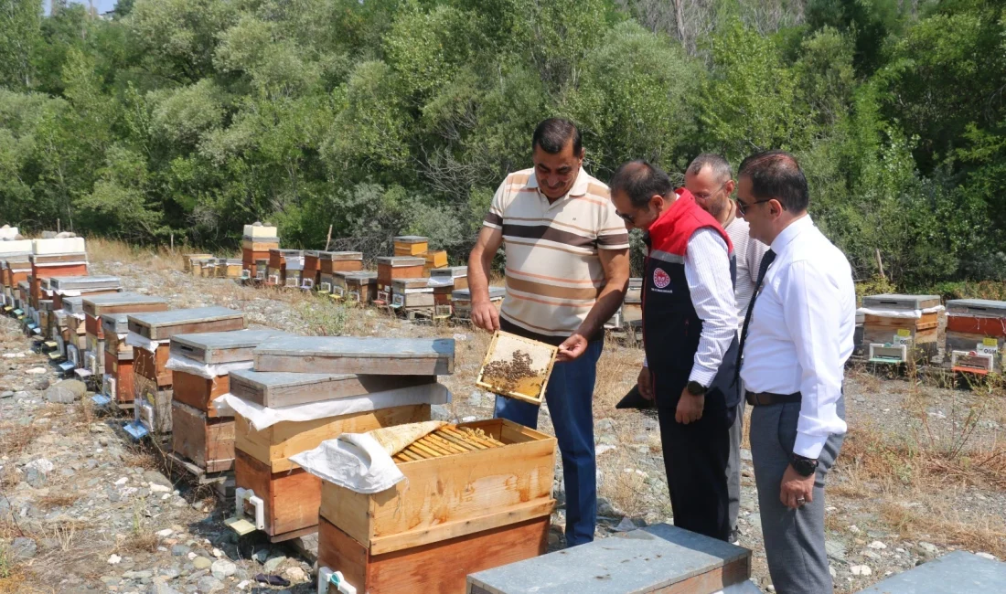 Erzincan’da Geven Balı Hasadı Başladı Yüksek rakımlı yaylalarda üretilen Erzincan Geven Balı’nın hasadı başladı; üreticiler