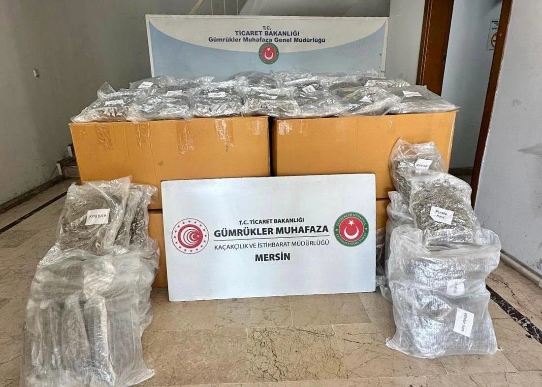 Mersin Limanı’nda tarama sistemiyle incelenen bir konteynerde 587 kilogram esrar
