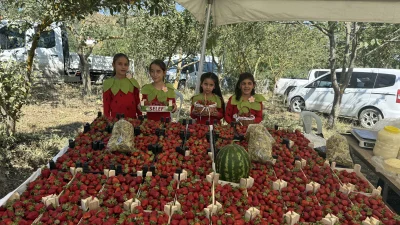 Alaçam’da üçüncüsü düzenlenen Dürtmen Yaylası Çilek Festivali, üreticilere verilen destekler