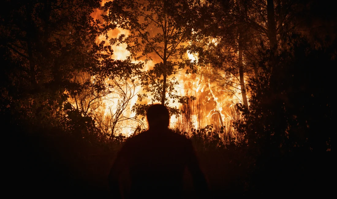 İspanya ve Portekiz’de devam eden büyük orman yangınları kontrol altına