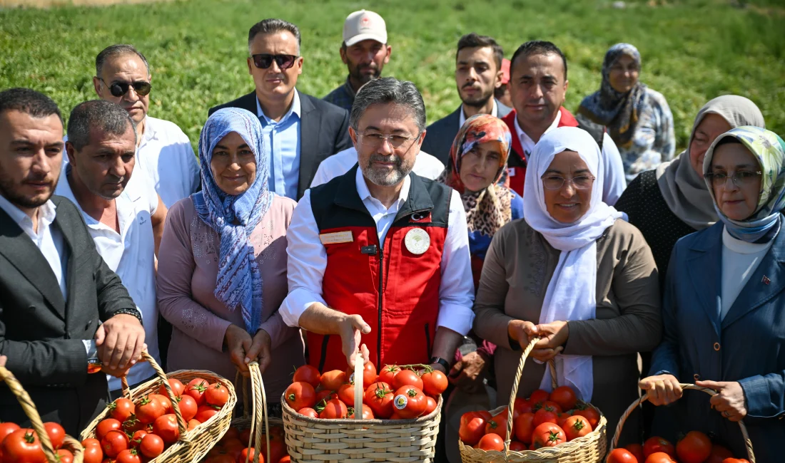 Tarım ve Orman Bakanı İbrahim Yumaklı, Ayaş’ta domates hasadında yaptığı