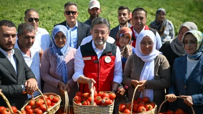 Tarım ve Orman Bakanı İbrahim Yumaklı, Ayaş’ta domates hasadında yaptığı