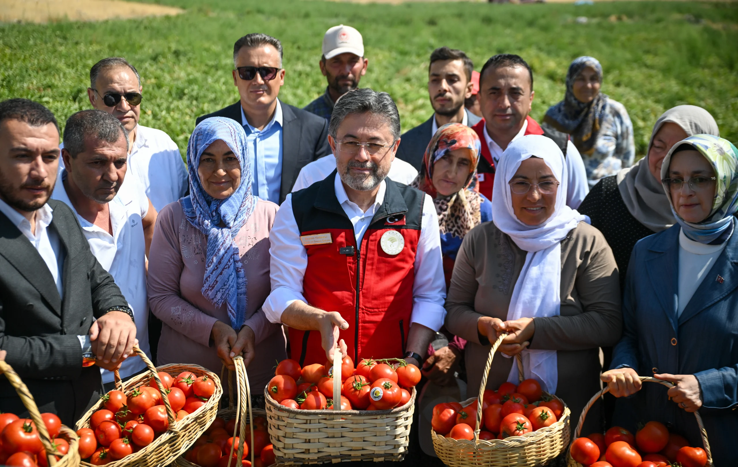 Tarım ve Orman Bakanı İbrahim Yumaklı, Ayaş’ta domates hasadında yaptığı
