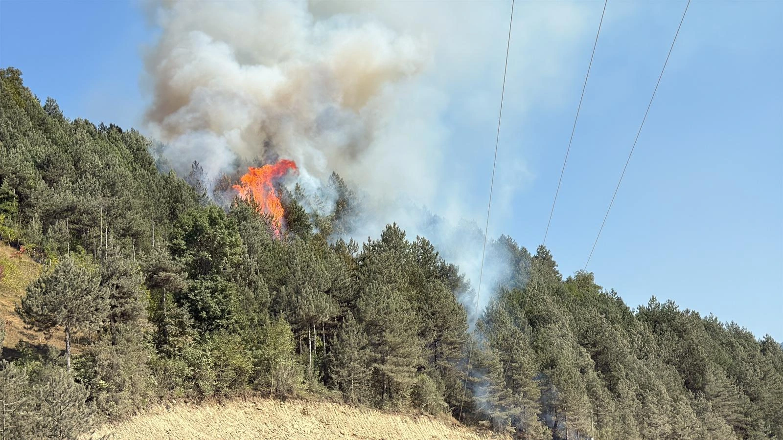 Sinop’un Türkeli ilçesinde çıkan orman yangını ekiplerin müdahalesiyle kontrol altına