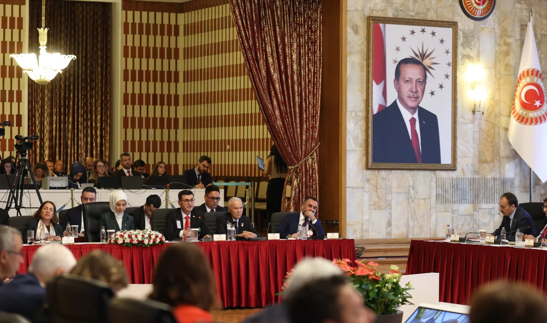 Milli Dayanışma, Kardeşlik ve Demokrasi Komisyonu, TBMM Başkanı Numan Kurtulmuş’un