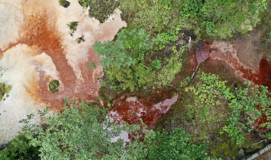 Kuzalan Tabiat Parkı’nın Kızıl Suyu ve Travertenleri Büyülüyor Giresun’un doğal cenneti Kuzalan Tabiat Parkı, kızıl suyu ve travertenleriyle