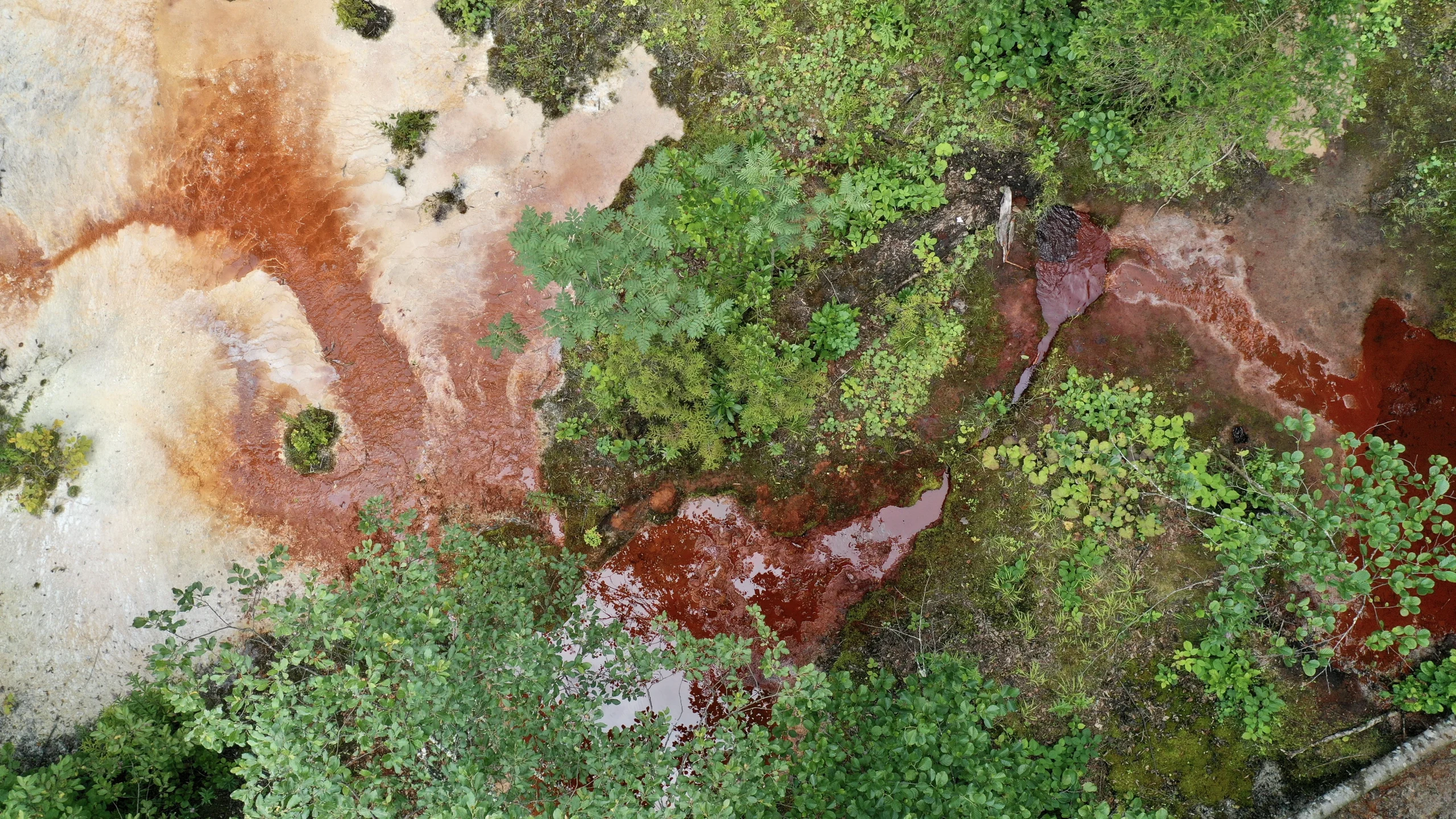 Giresun’un doğal cenneti Kuzalan Tabiat Parkı, kızıl suyu ve travertenleriyle