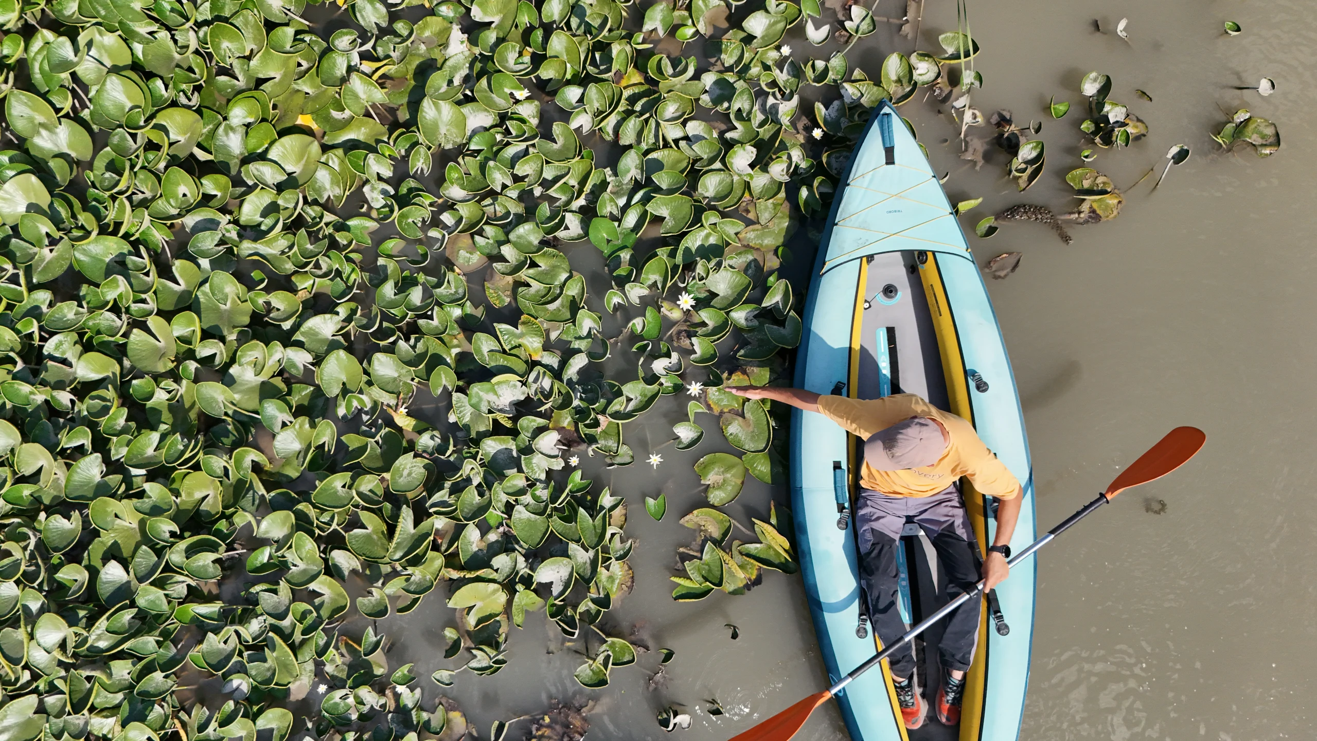 Alaçamlı sporcu Volkan Karaman, nilüferler arasında kano yaparak ilçesini doğa