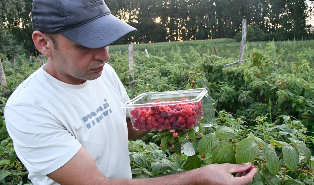 Pide ustalığını bırakan Onur Kurnaz, babadan kalan atıl araziyi meyve