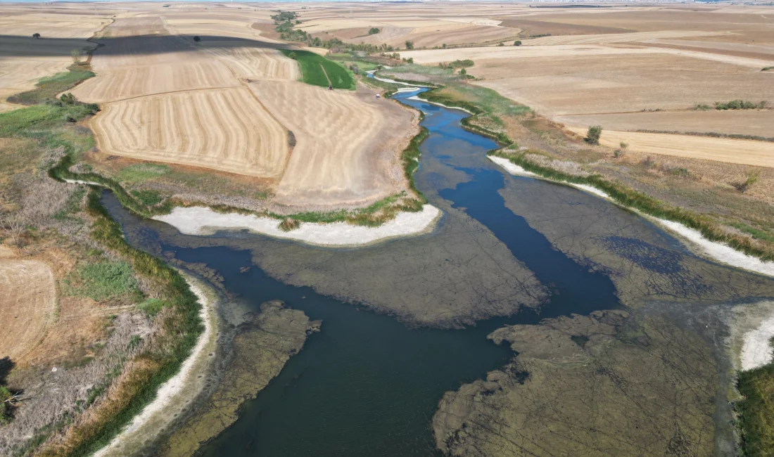 Tekirdağ’daki Sarılar Göleti, kuraklık ve buharlaşma nedeniyle alarm veriyor. Göletteki