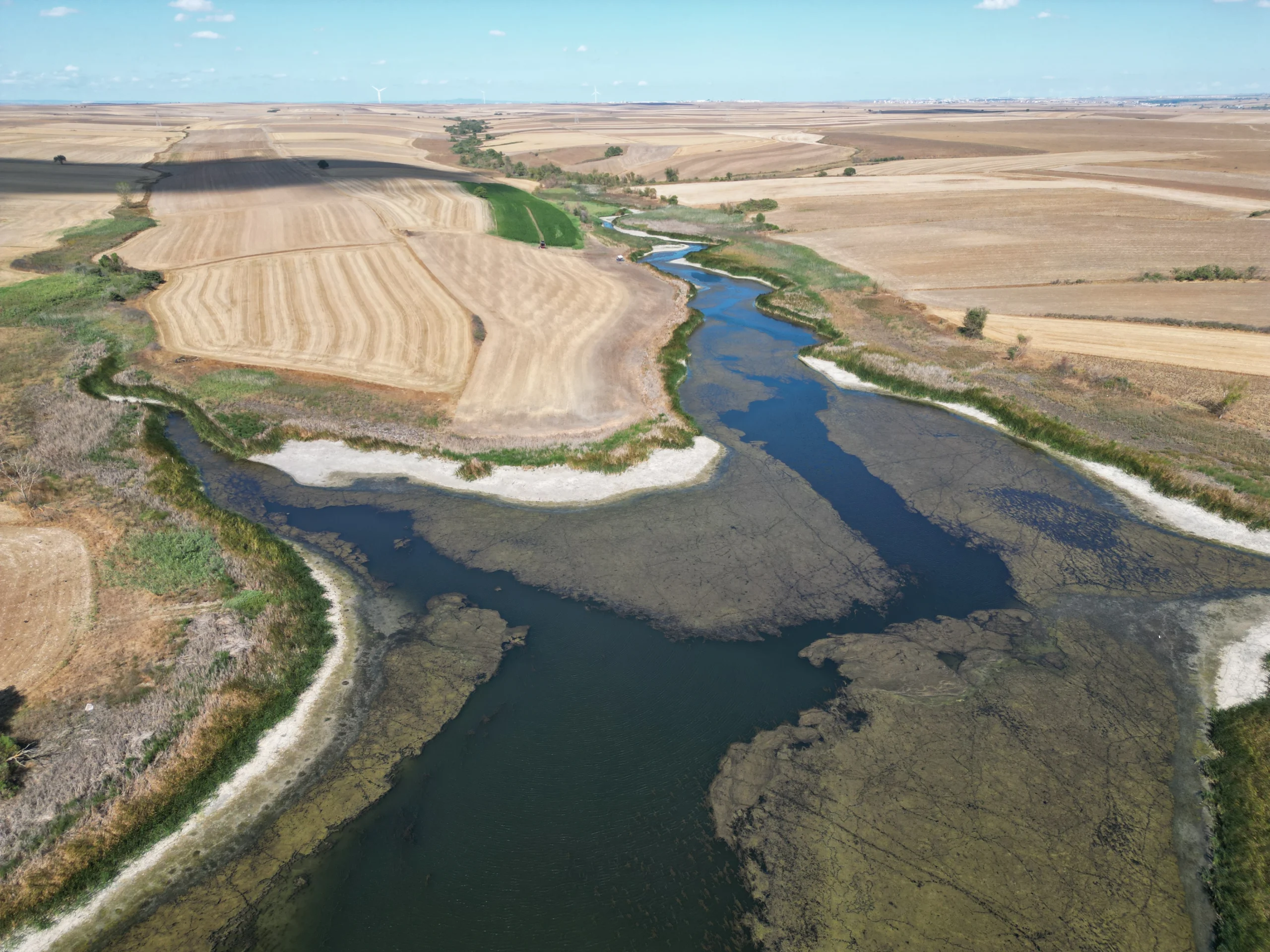 Tekirdağ’daki Sarılar Göleti, kuraklık ve buharlaşma nedeniyle alarm veriyor. Göletteki