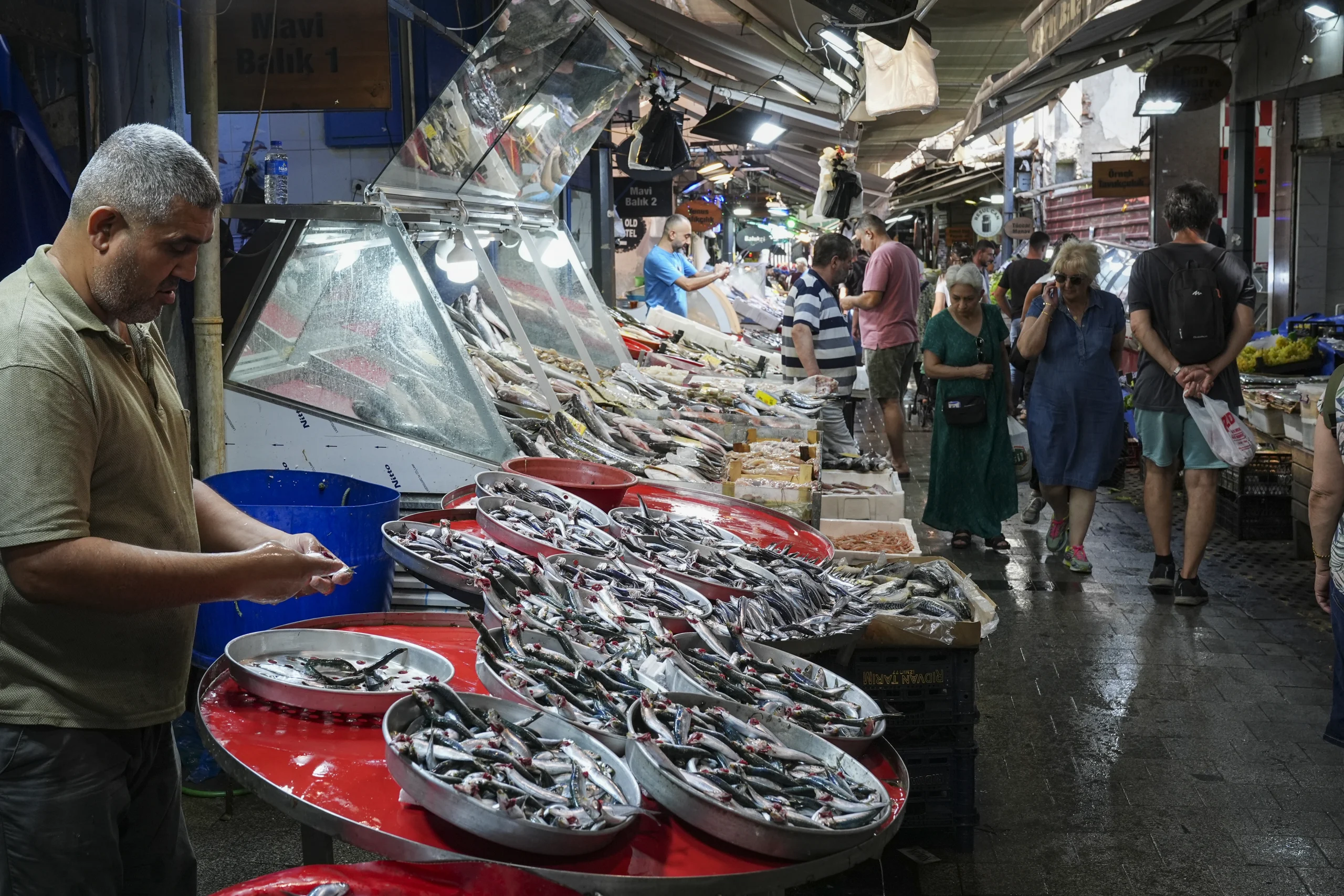Ege Denizi’nde sezonun ilk günlerinden itibaren ağlar dolarken, balık bolluğu